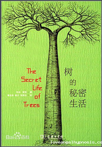 树的秘密生活